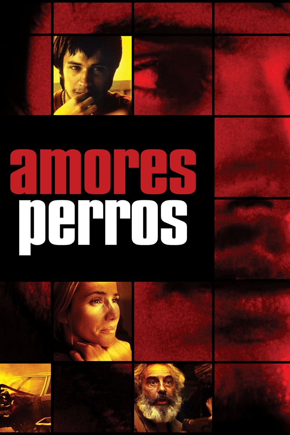 Poster Amores Perros