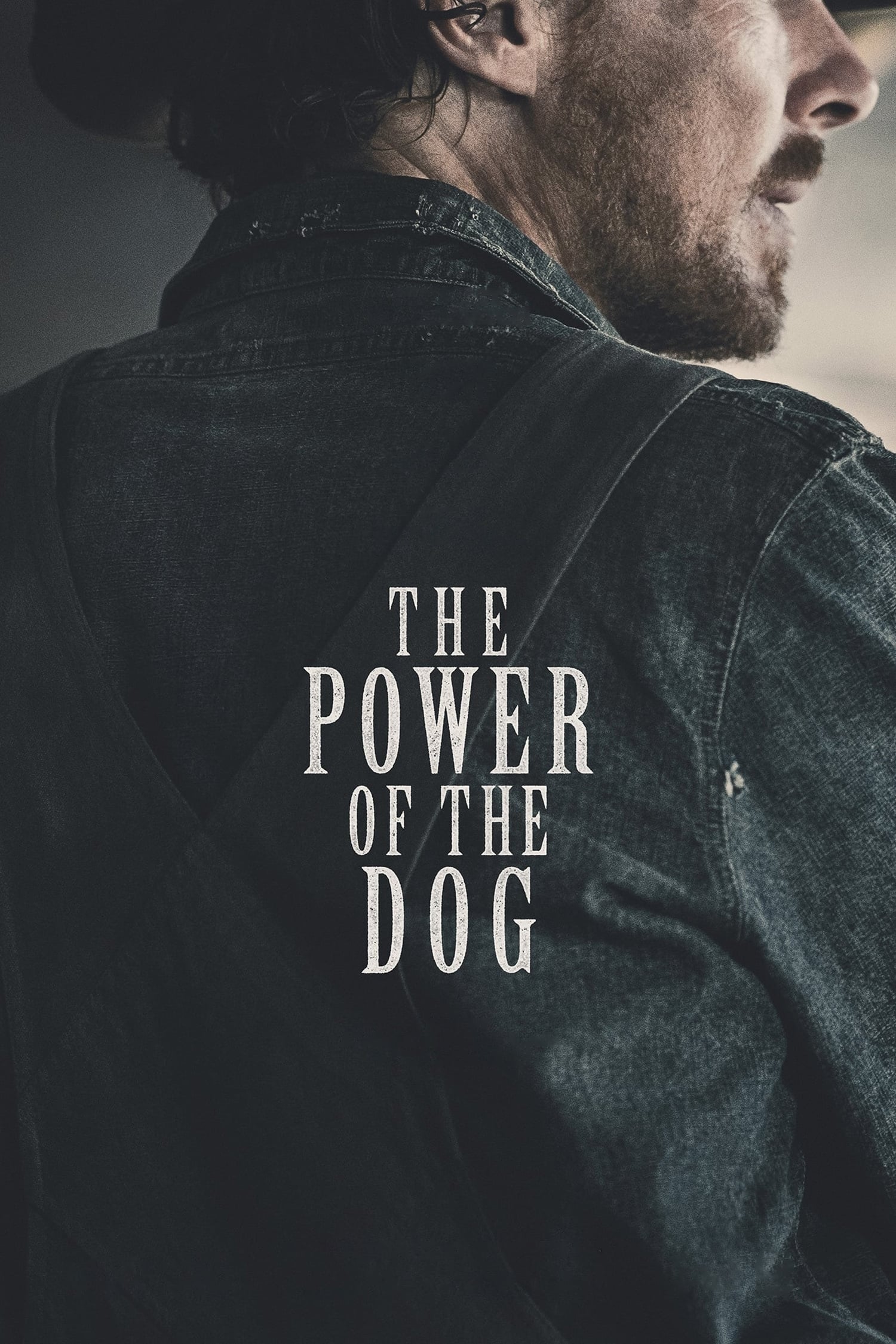 Poster The Power of the Dog